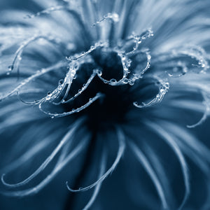 blue-tone-droplets