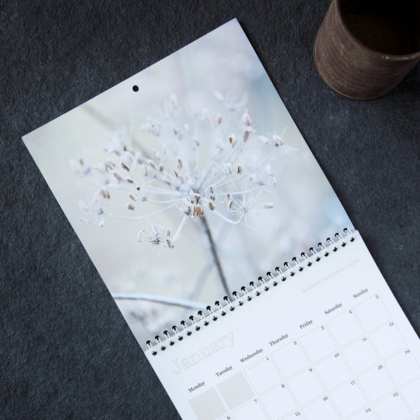 Calendar 2025