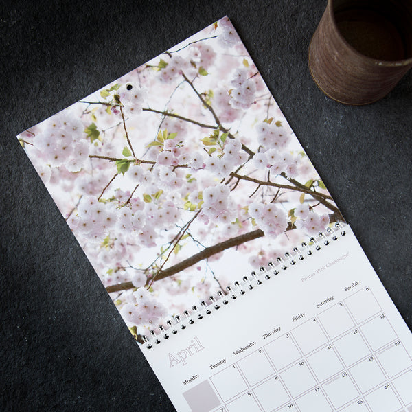 Calendar 2025