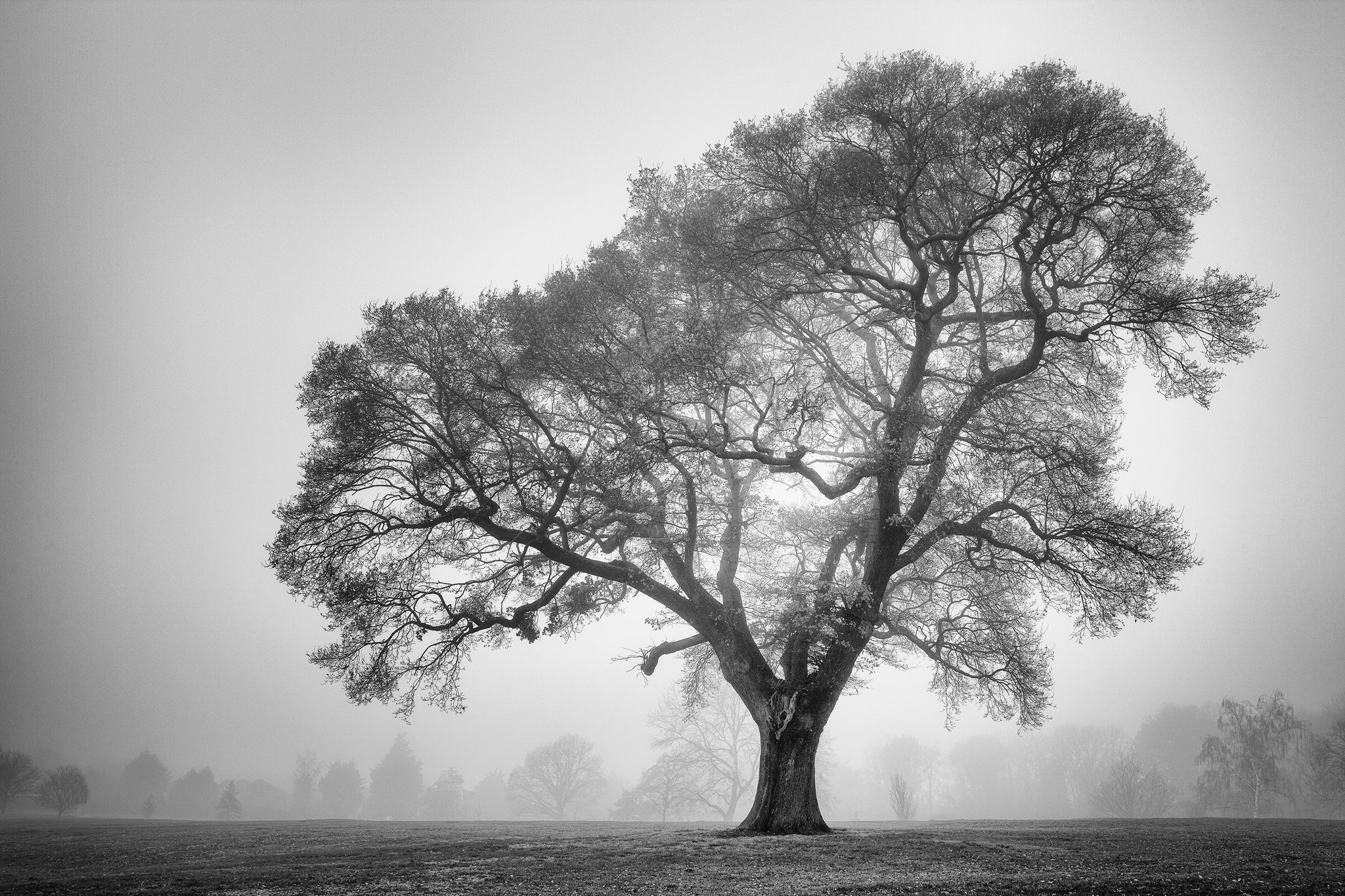 winter-beckenham-place-park-