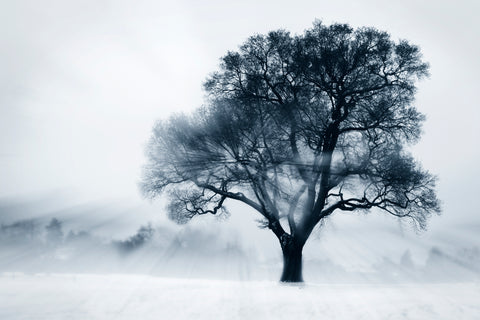 Beckenham-winter-landscape-photographic-print