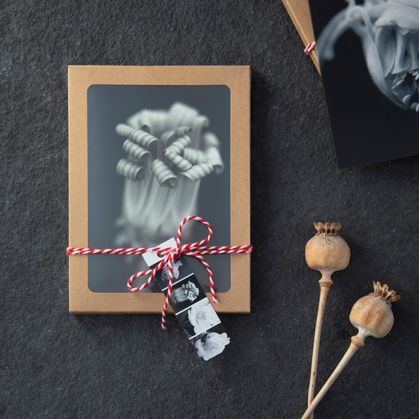 Selection of black and white floral-themed greeting cards presenting flowers opening up in craft box