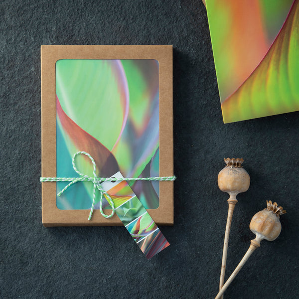selection of greeting cards with exotic foliage photographs in a craft box