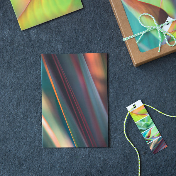 colourful and abstract greeting card representing a leaf of a phormium