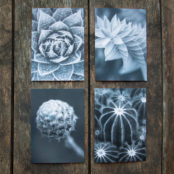 Greeting Cards Selection Pack - Prickles