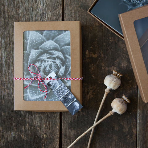 Greeting Cards Selection Pack - Prickles