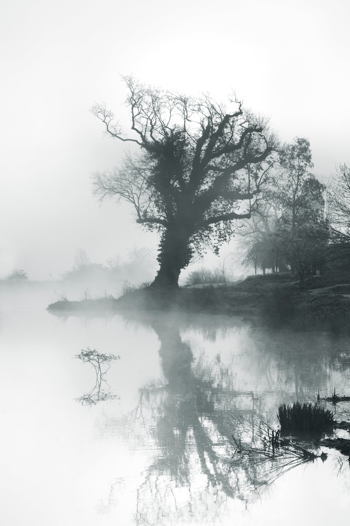 Reflection-atmospheric-landscape-photographic-print