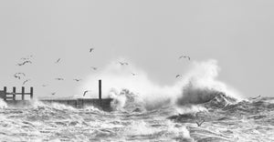 Ciara's wings, Rye - East Sussex