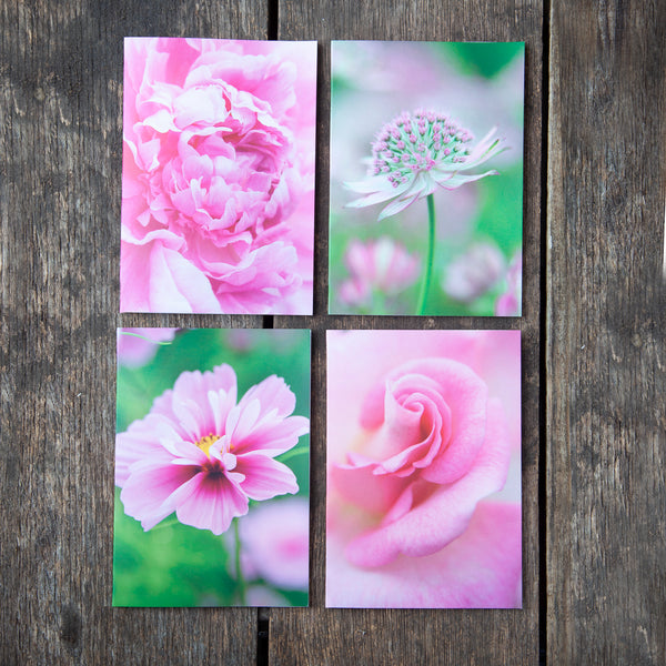 Greeting Cards Selection Pack - La Vie en Rose