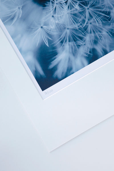 close-up-mounted-print