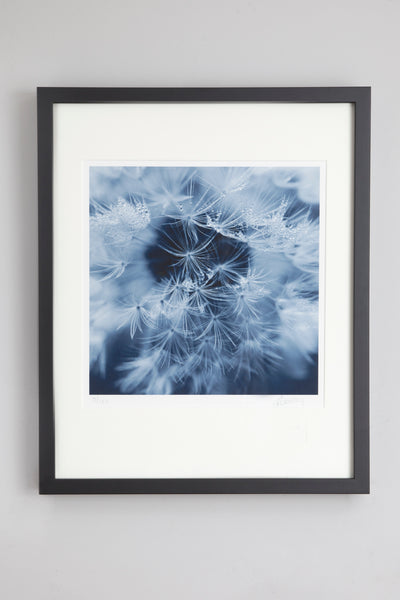 view-print-framed
