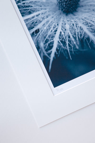 close-up-mount-print