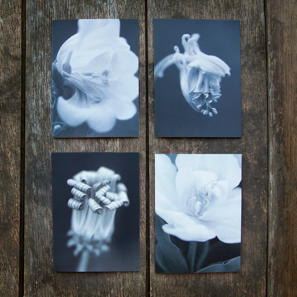 Greeting Cards Selection Pack - Opening Up